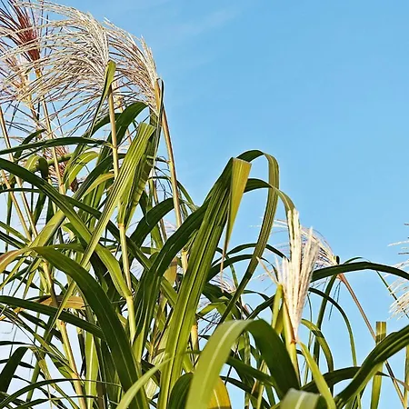 別荘 16 Person In Hasselberg